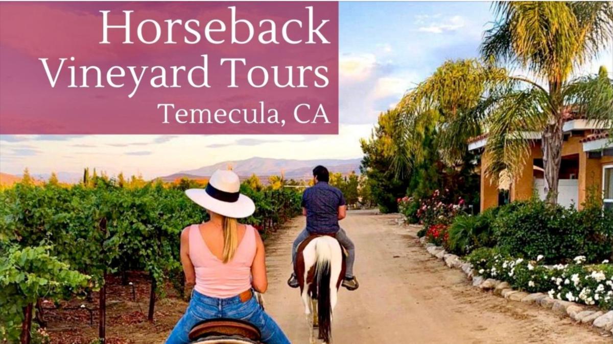 Wine Country Trails By Horseback, Inc. Temecula, CA