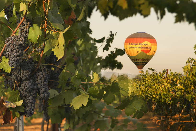 A Grape Escape Balloon Adventure