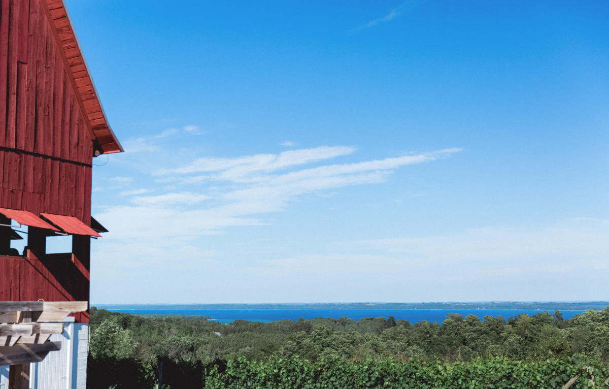 Ciccone Vineyard & Winery | Suttons Bay, MI 49682