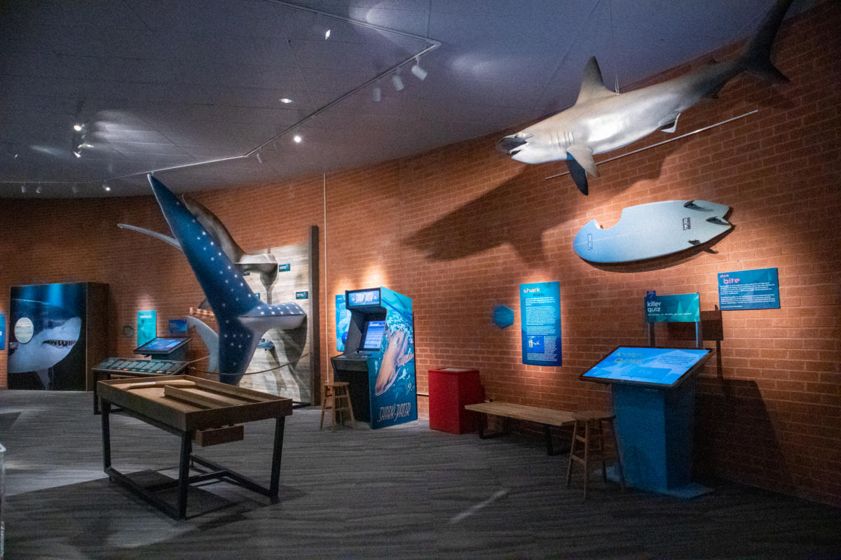 Flandrau Science Center & Planetarium | Tucson, AZ 85721