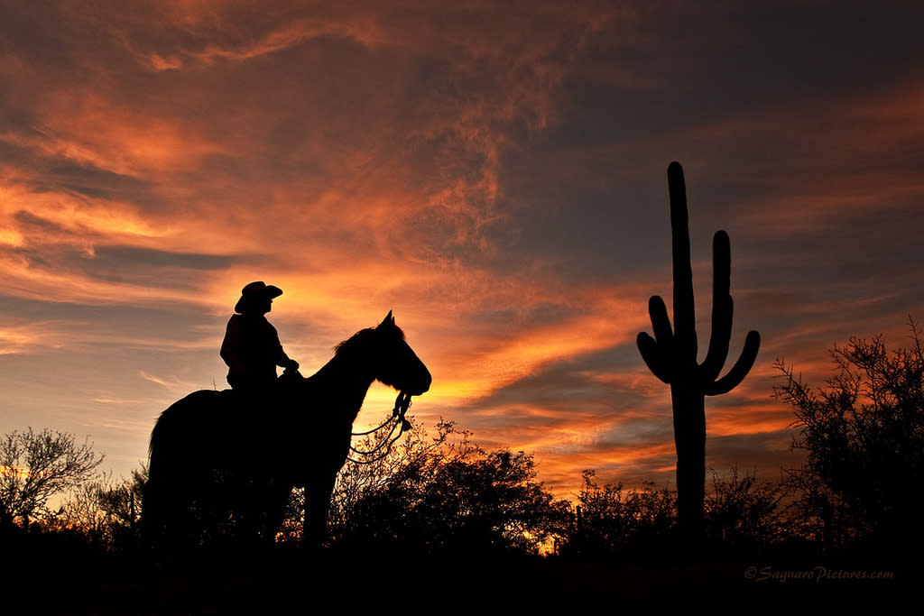 Ride Into The Sunset
