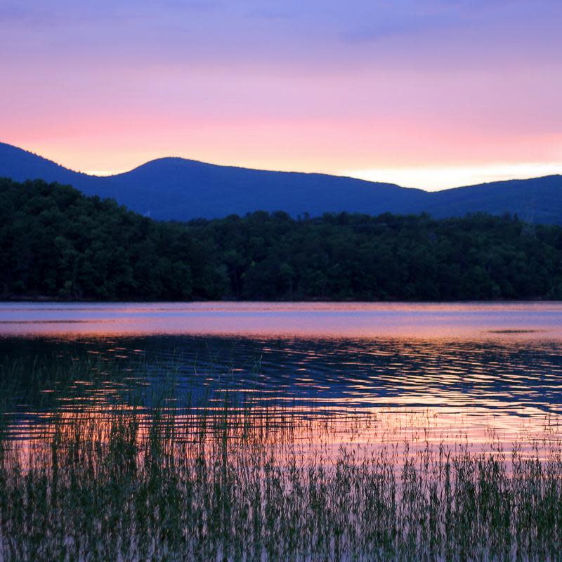Carvins Cove Natural Reserve