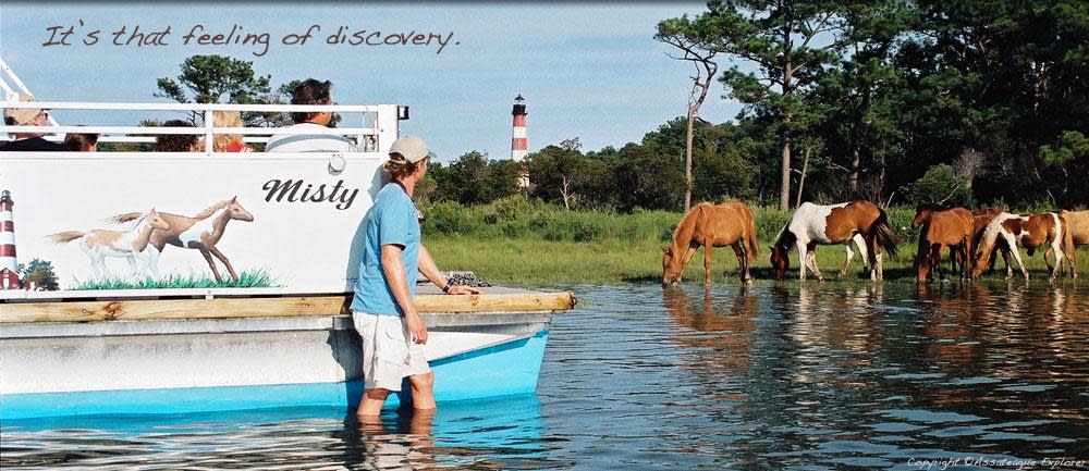 Assateague Explorer Pony Watching/Wildlife Cruises