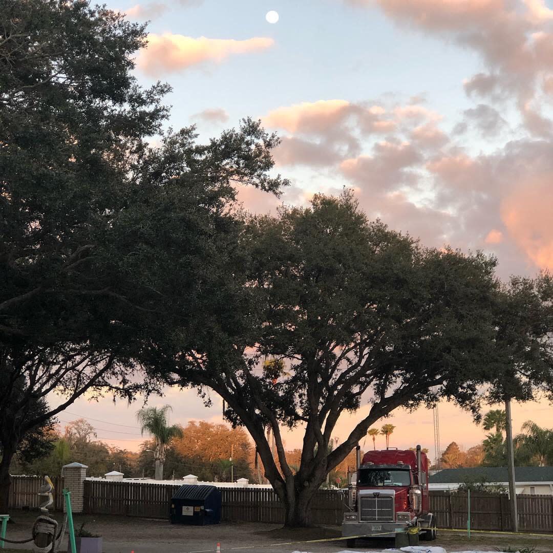 The Oaks at Zephyrhills in Zephyrhills VISIT FLORIDA