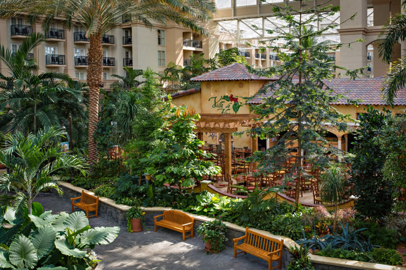 Villa De Flora At Gaylord Palms Resort In Kissimmee Visit Florida