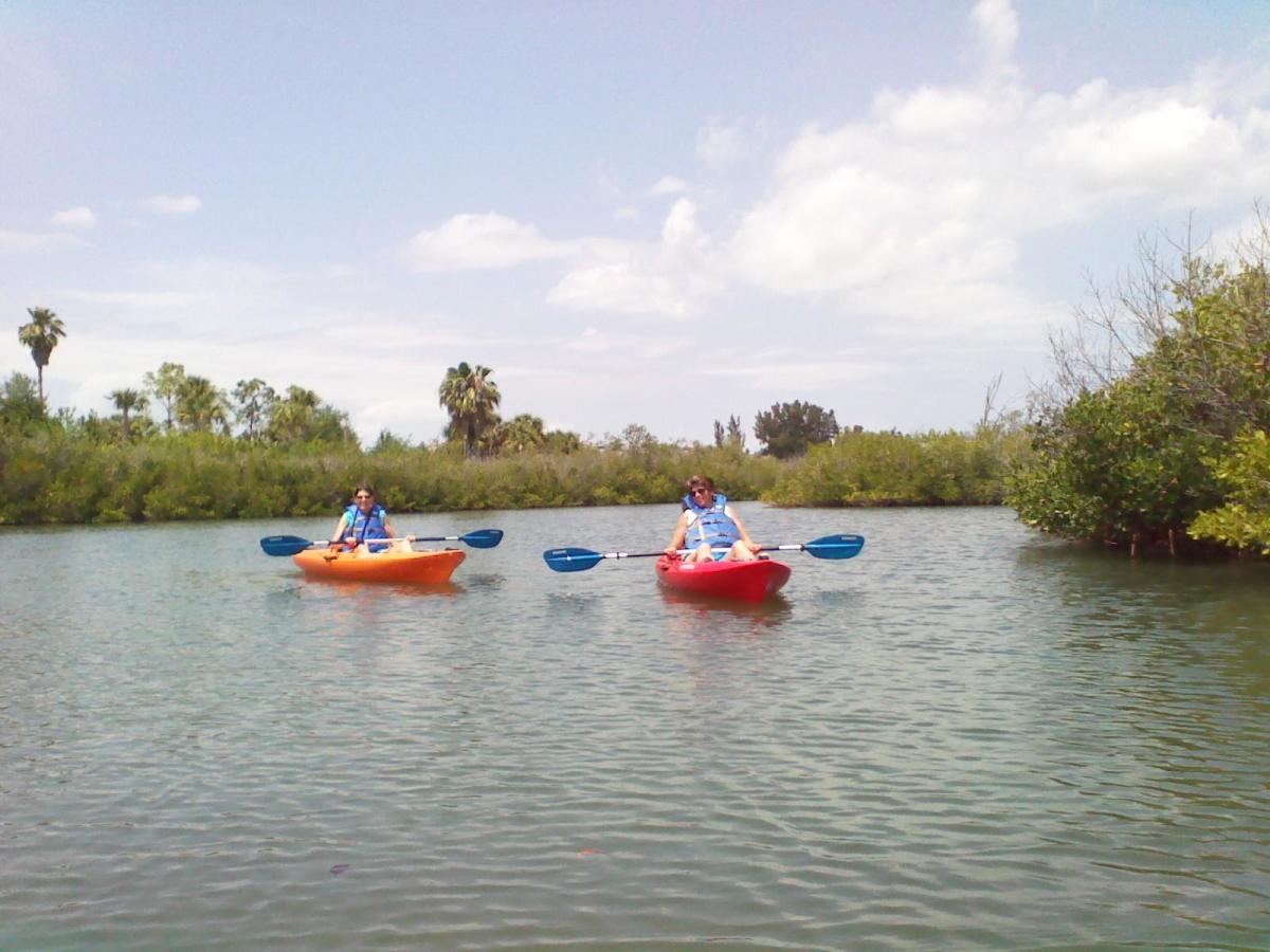 Kayak Nature Adventures in Gulfport/St Petersburg/St Pete Beach VISIT FLORIDA