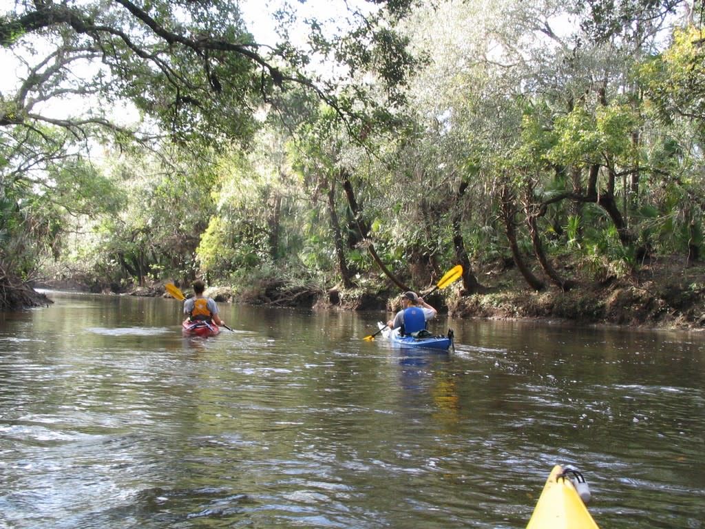 Paddling on the Alafia River