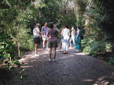 Anderson-Narváez Mound at Jungle Prada Mound Park in St. Petersburg | VISIT  FLORIDA
