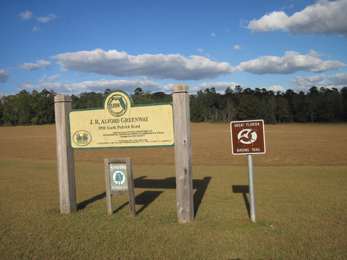 J.R. Alford Greenway in Tallahassee VISIT FLORIDA