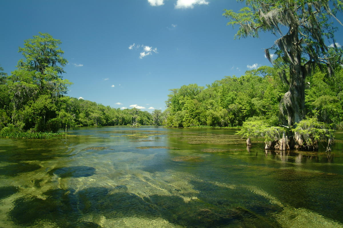 Wakulla County Tourist Development Council in Panacea VISIT FLORIDA