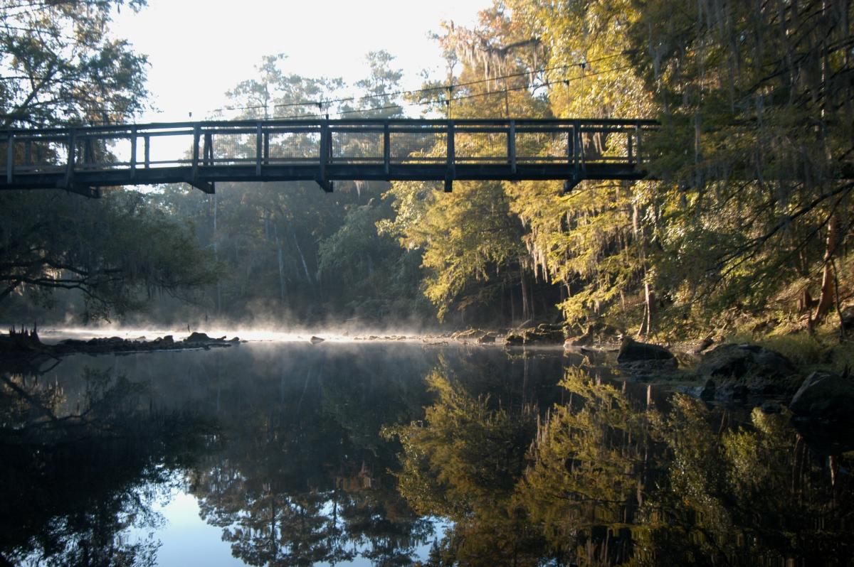 Escape to O'Leno: Where Florida's Wilderness Meets Your Inner Explorer