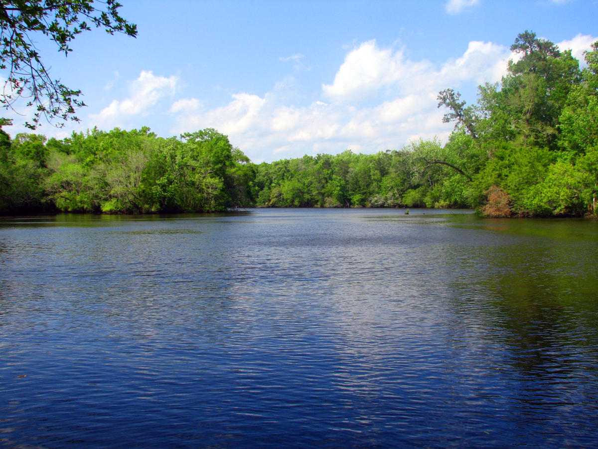 Ochlockonee River State Park Campground in Sopchoppy VISIT FLORIDA
