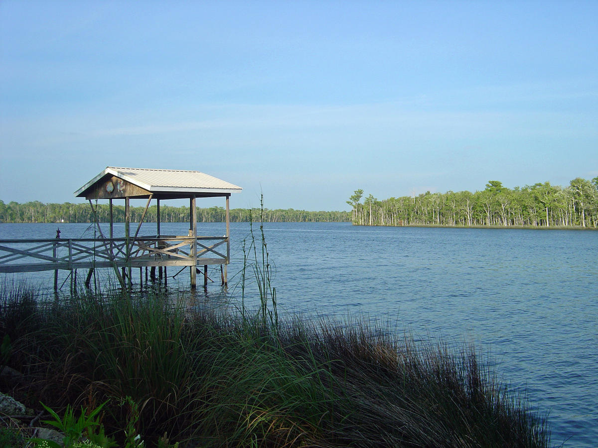 Suwannee River State Park in Live Oak VISIT FLORIDA
