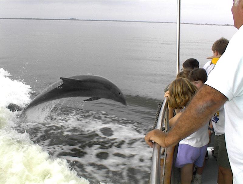 King Fisher Fleet in Punta Gorda VISIT FLORIDA