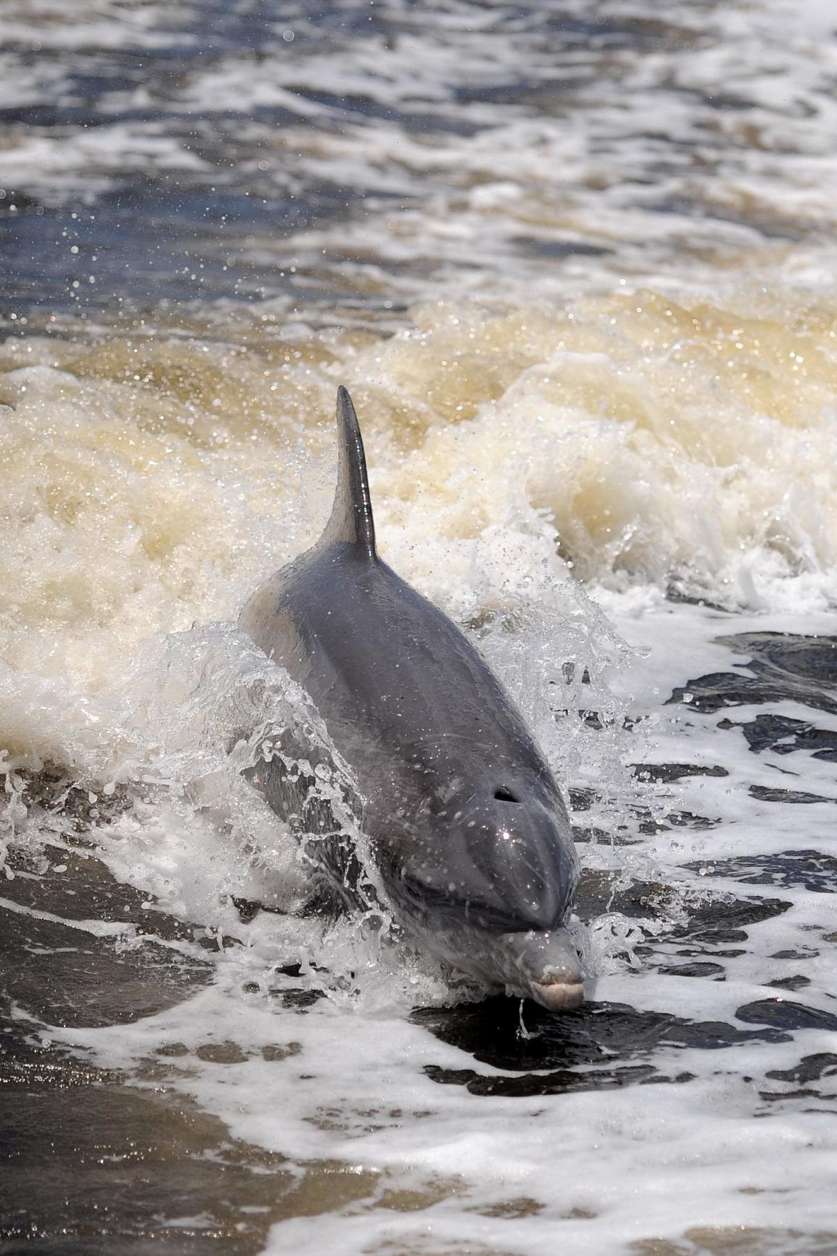 King Fisher Fleet in Punta Gorda VISIT FLORIDA