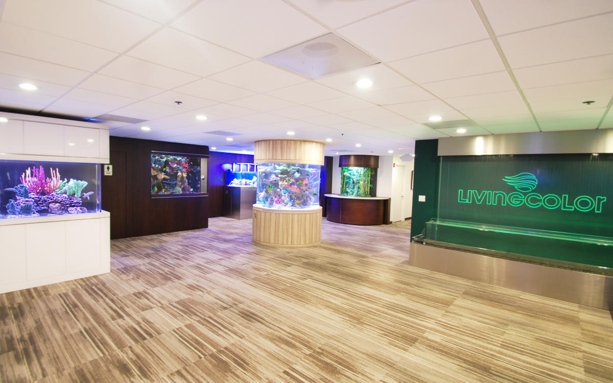 Living Color Aquariums in Fort Lauderdale VISIT FLORIDA