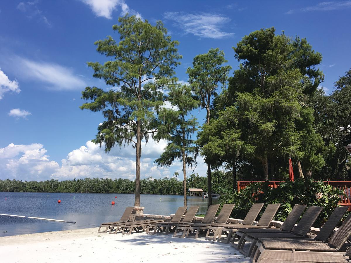 First Time Visitor Coupon in Kissimmee | VISIT FLORIDA