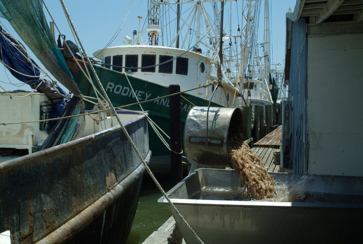 Apalachicola Bay Chamber of Commerce in Apalachicola VISIT FLORIDA
