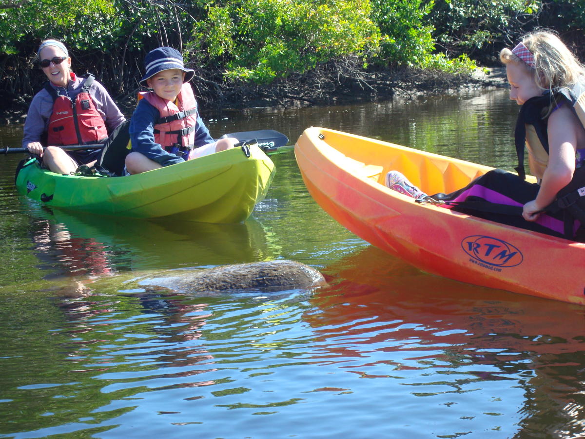 Kayak Excursions Pelican Bay in Fort Myers Beach VISIT FLORIDA