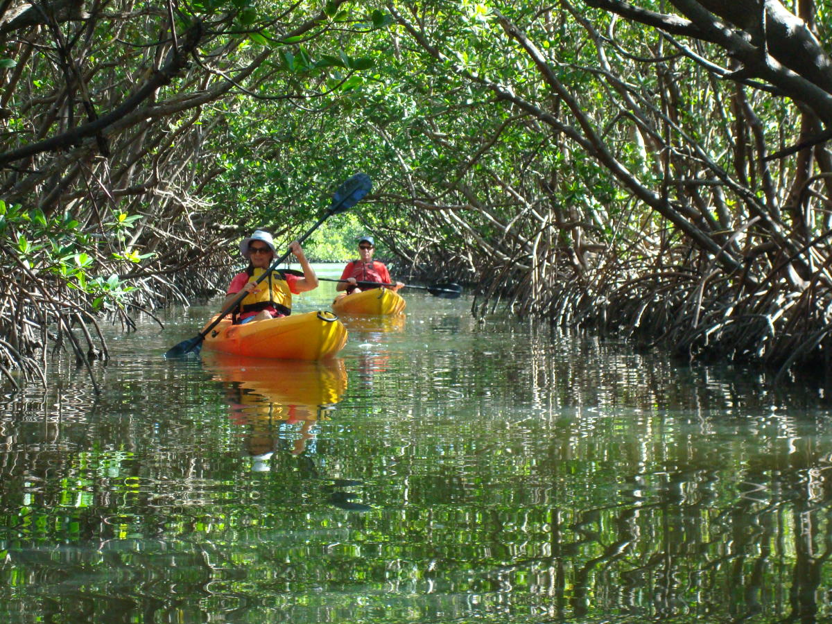 Kayak Excursions Pelican Bay in Fort Myers Beach VISIT FLORIDA