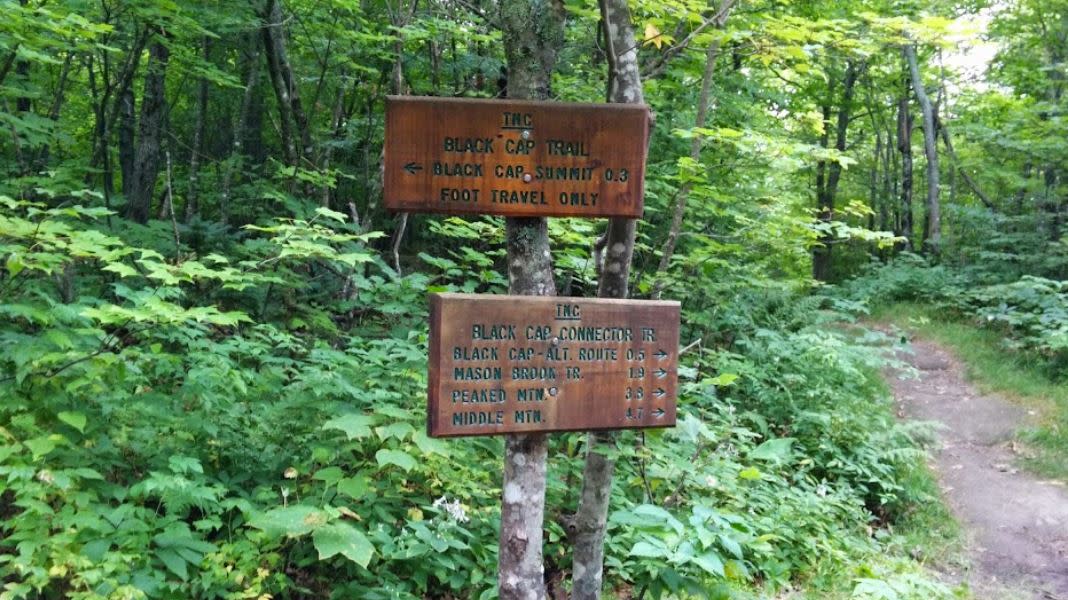 Black Cap Hiking Trail Black Cap Path | North Conway, Nh