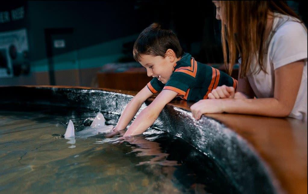 Living Shores Aquarium | Glen, NH