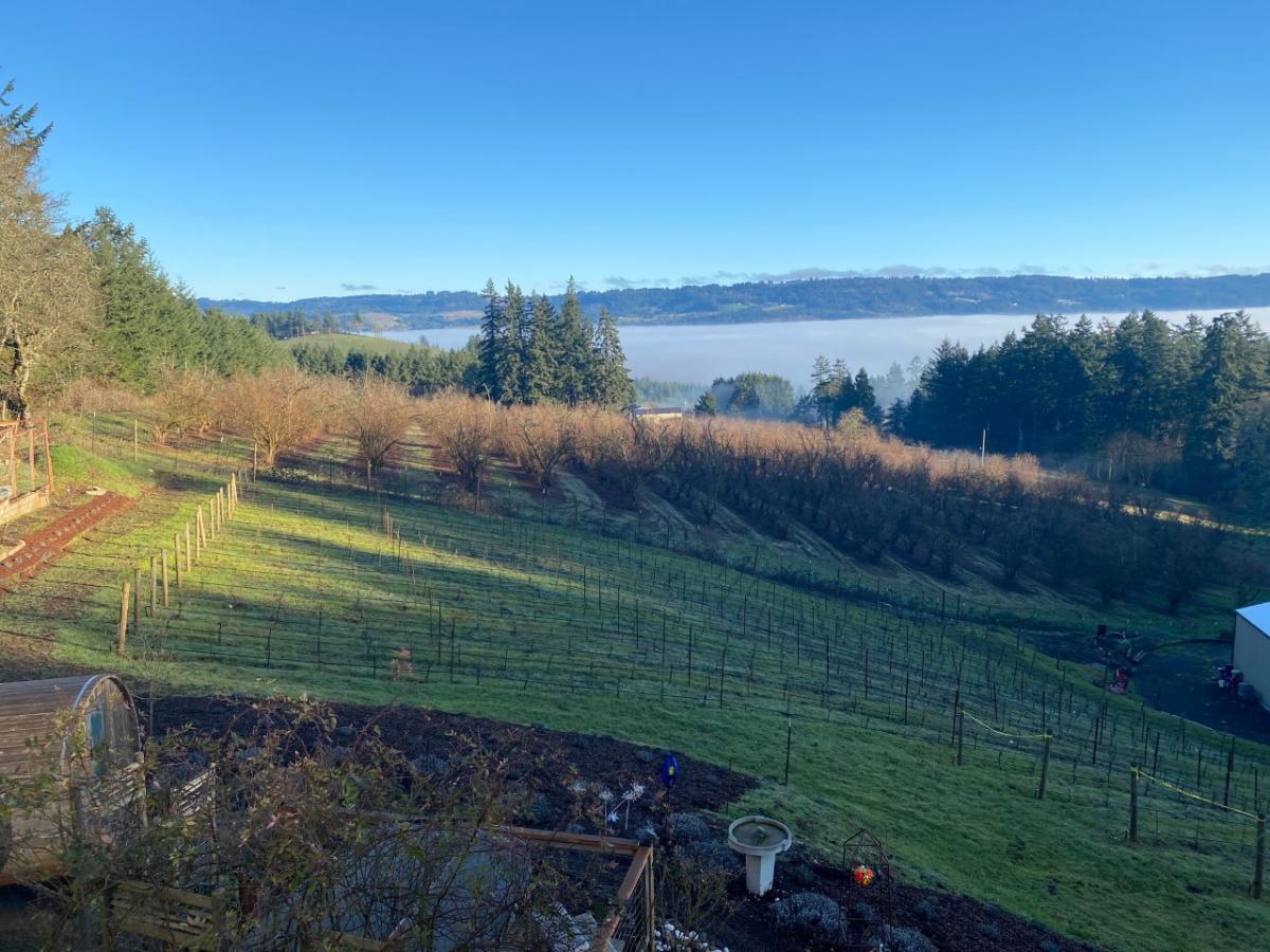 Dundee Wine Library Winery and B&B