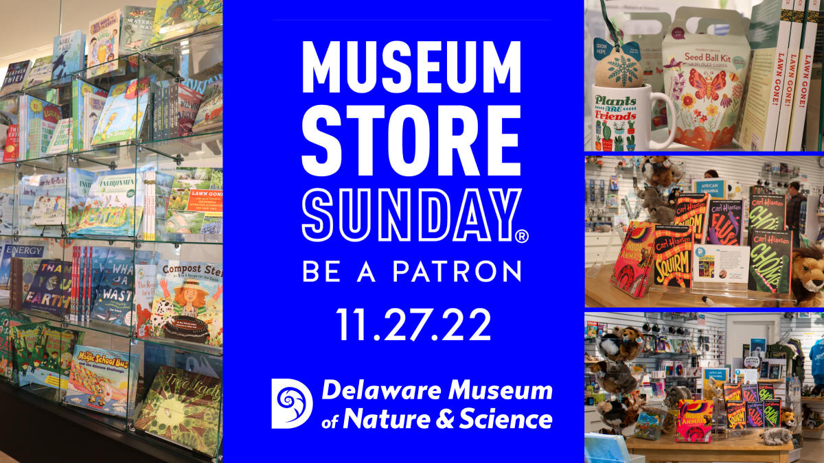 Museum Store Sunday | Wilmington, DE 19807