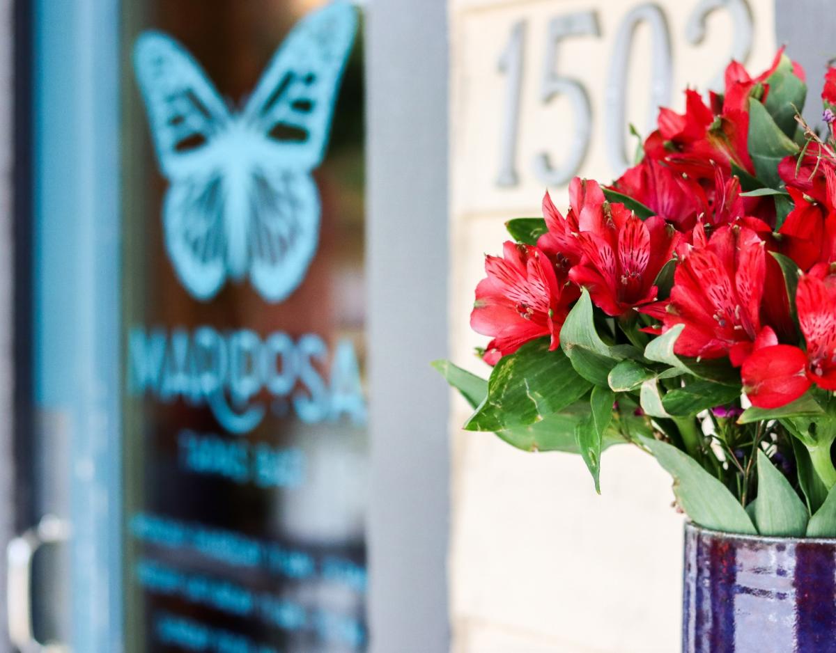 Total 47+ imagem mariposa happy hour br.thptnganamst.edu.vn