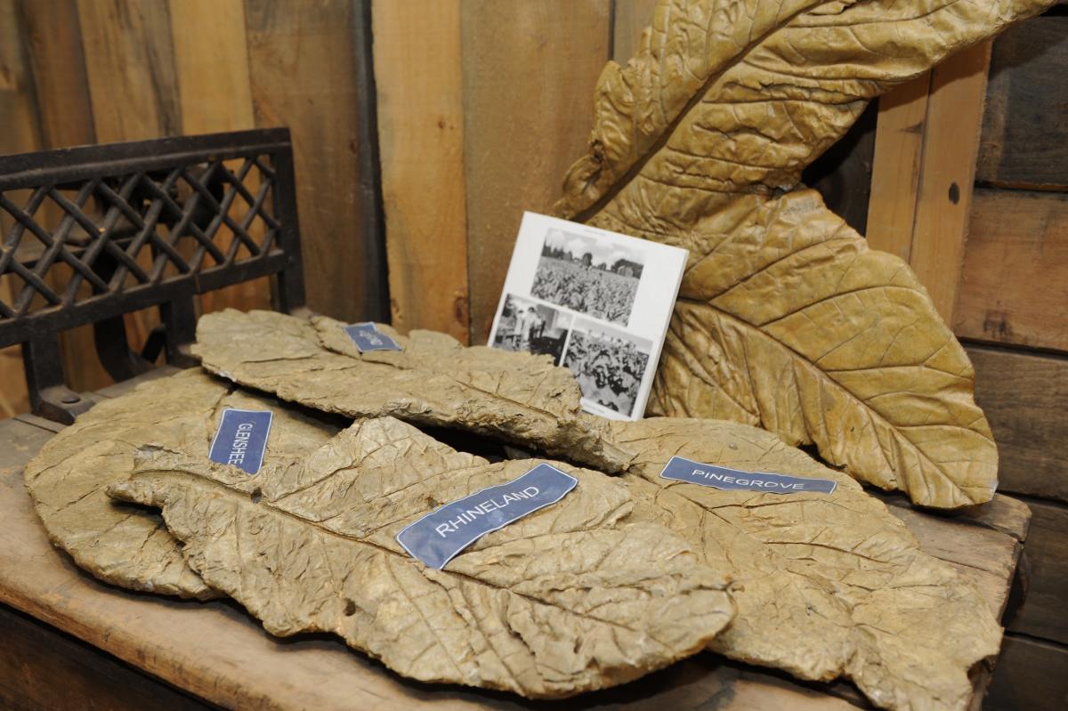 Delhi Tobacco Museum And Heritage Centre