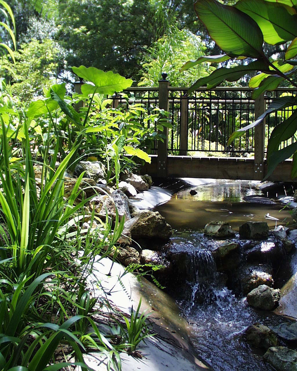 3624_stream_bridge.jpg?crop=