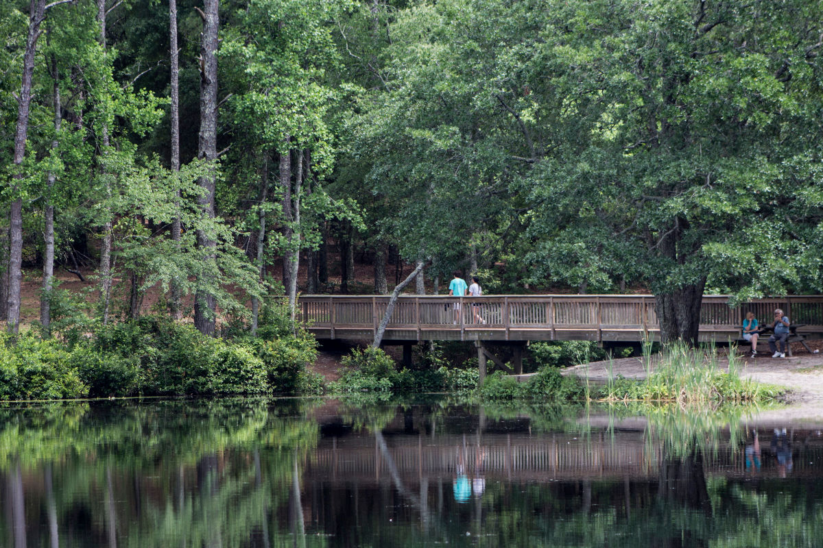 South Carolina’s Hidden Gem: Sesquicentennial State Park – Where History Meets Nature