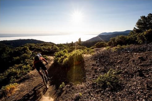 paradise royale mountain bike trail