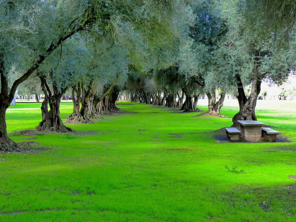 Kearney Park