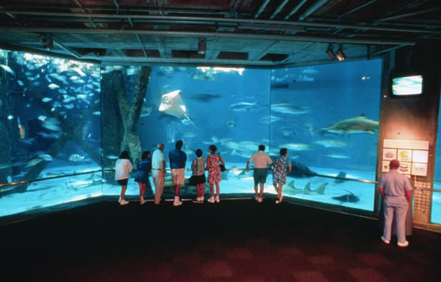audubon aquarium coupons