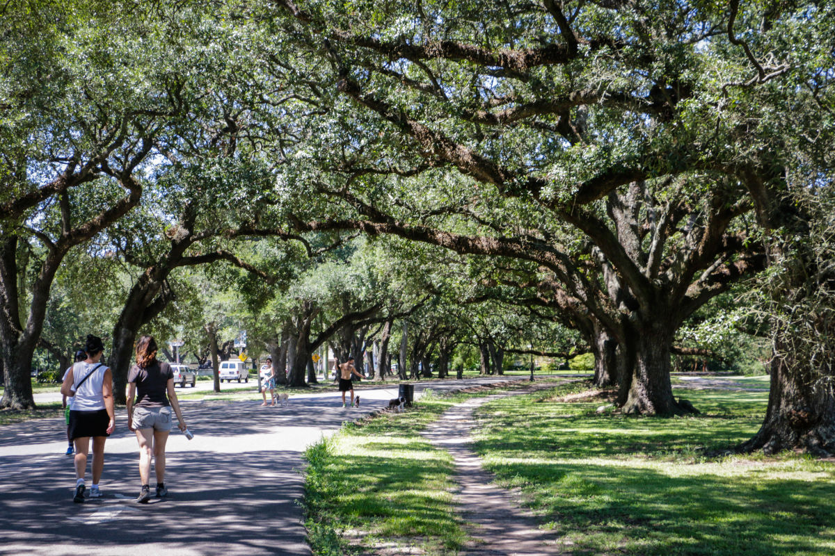 Audubon Park