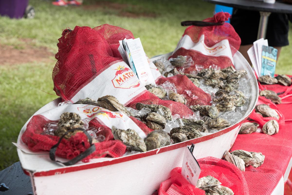 New Orleans Oyster Festival 2019