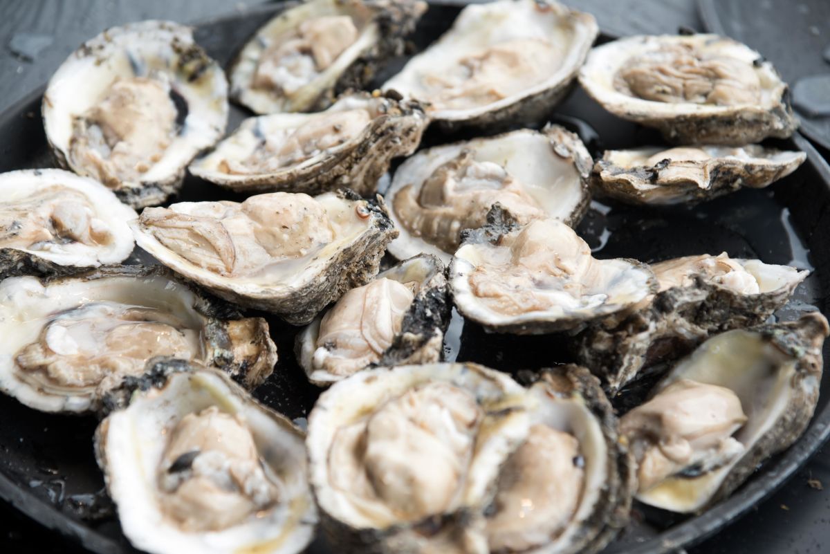 New Orleans Oyster Festival 2019