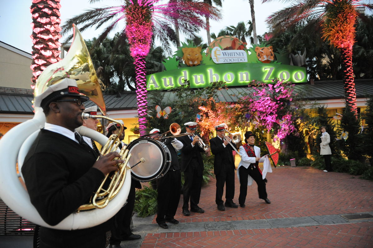 Whitney ZootoDo New Orleans