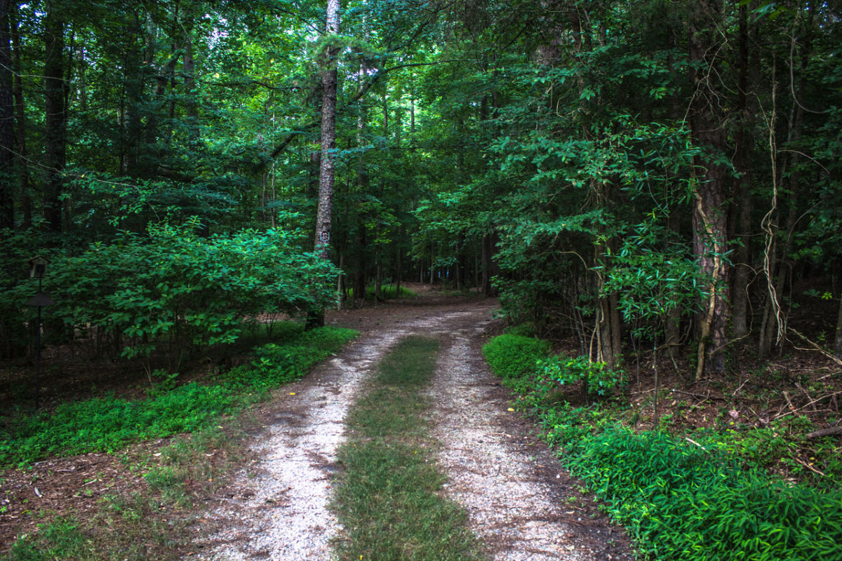 Durant Nature Preserve Raleigh, NC 27614