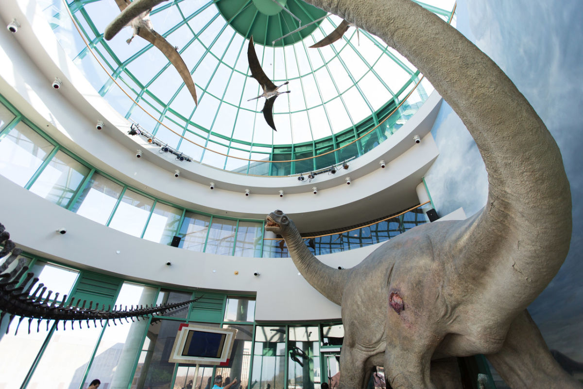 North Carolina Museum of Natural Sciences | Raleigh, NC 27601