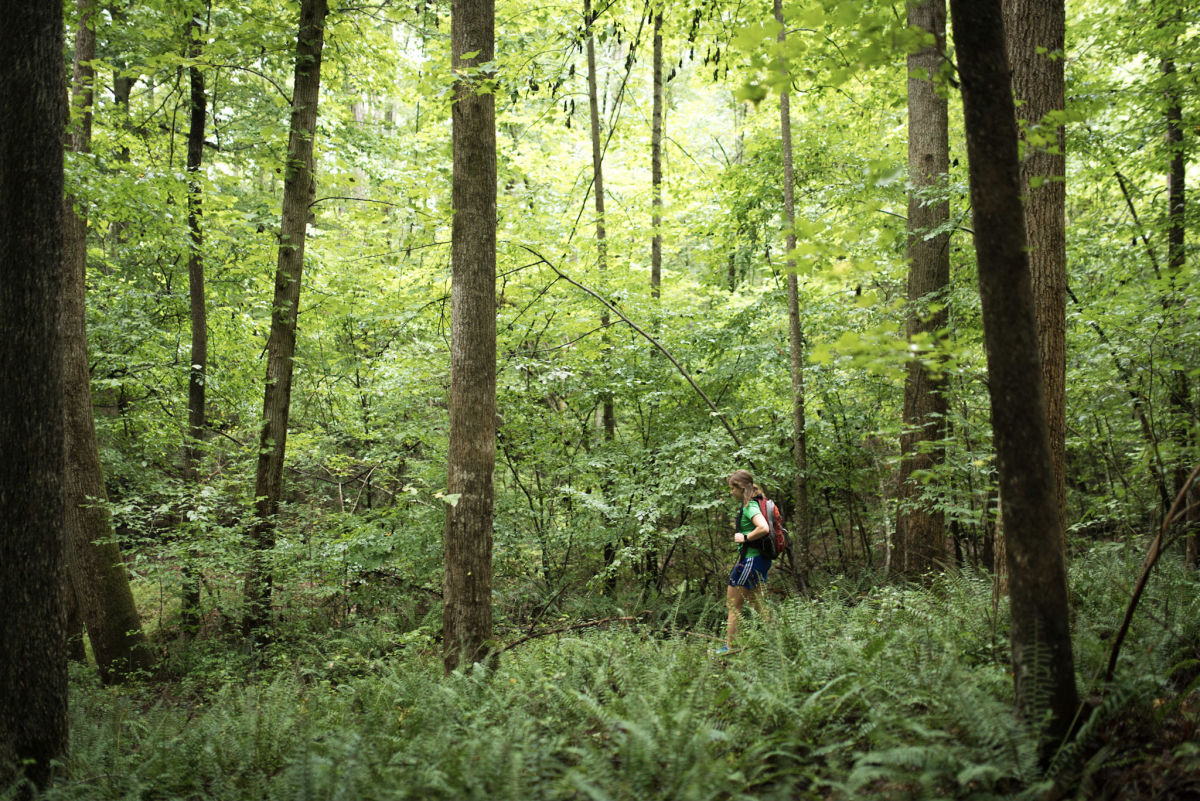 Annie Louise Wilkerson, MD Nature Preserve Raleigh, NC 27614