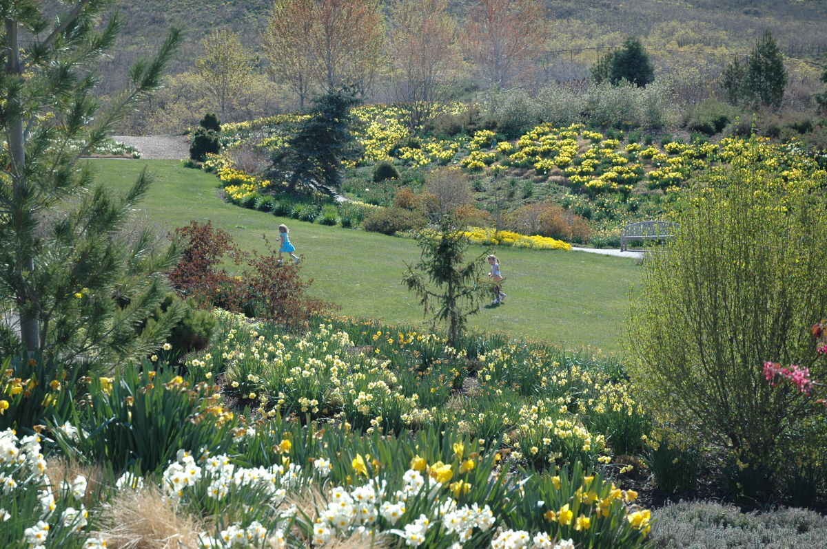 Red Butte Garden Utah S Botanical Garden Salt Lake City Ut 84108