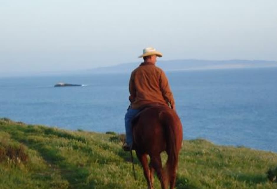 Avila Beach Horseback Riding Avila Beach Ca 93424