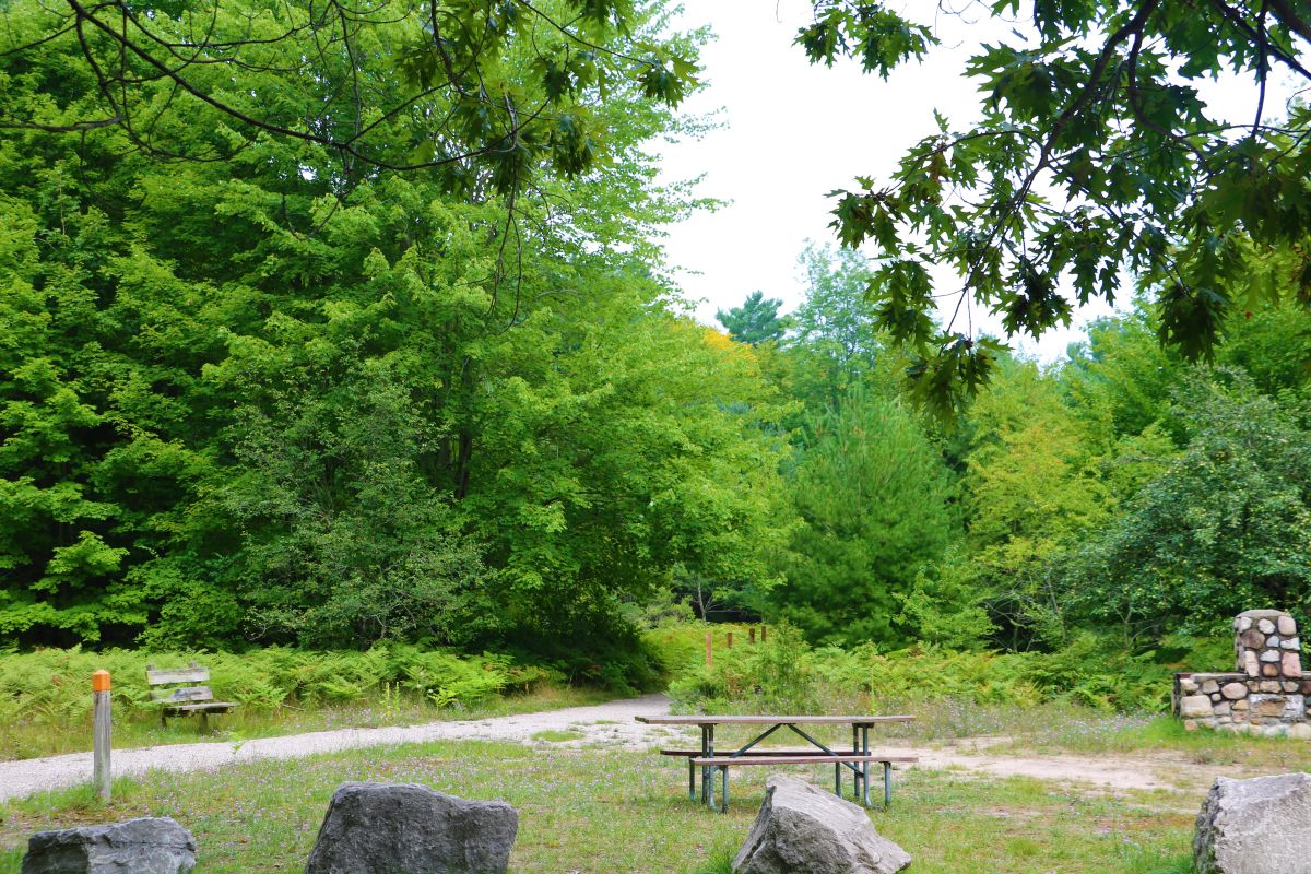 Lake Michigan/Mud Lake Loop Northport, MI 49670