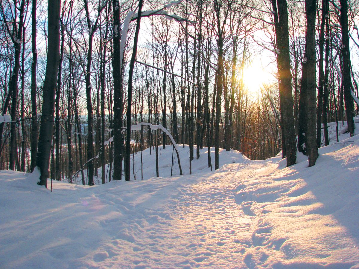 Grand Traverse Ski Club Ski Swap | Traverse City, MI 49684