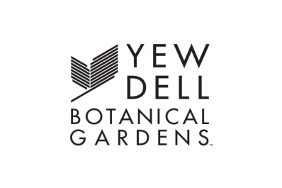 yew dell 7