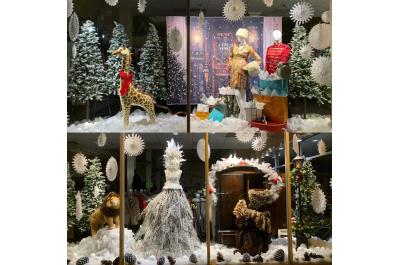 Holiday Windows