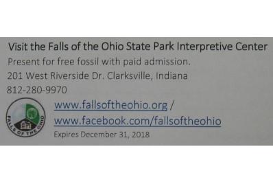 Free Fossil Coupon photo