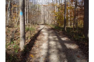 trail in fall
